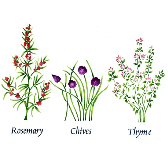 Small Standing Herbs: Rosemary, Chives, Thyme Wall Stencil | 2950R by Designer Stencils | Word & Phrase Stencils | Reusable Art Craft Stencils for Painting on Walls, Canvas, Wood | Reusable Plastic Paint Stencil for Home Makeover | Easy to Use & Clean Art Stencil {1}