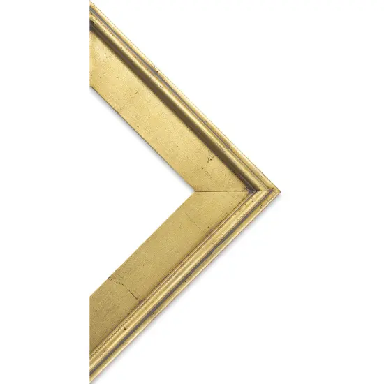 Blick Simplon Frame, 3-1/4&rdquo;-8&rdquo; x 10&rdquo; x 1/2&rdquo;, Gold Leaf {1}