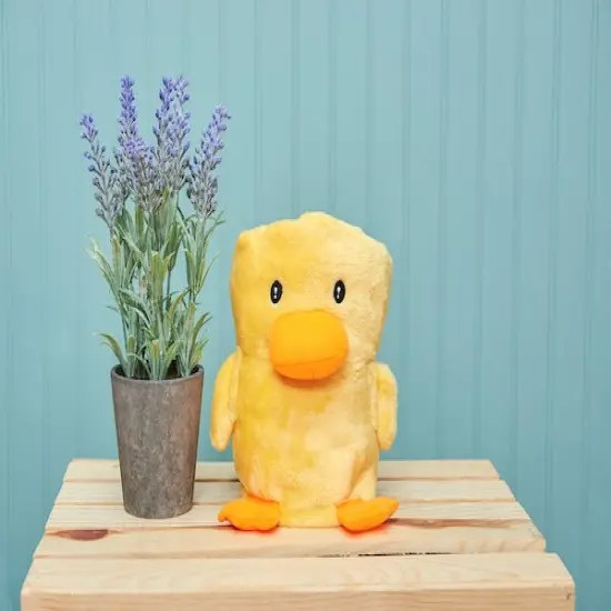 30" x 44" Easter Duckling Cute Foldable Ultra-Soft Children's Kids Baby Accent Throw Blanket {5}