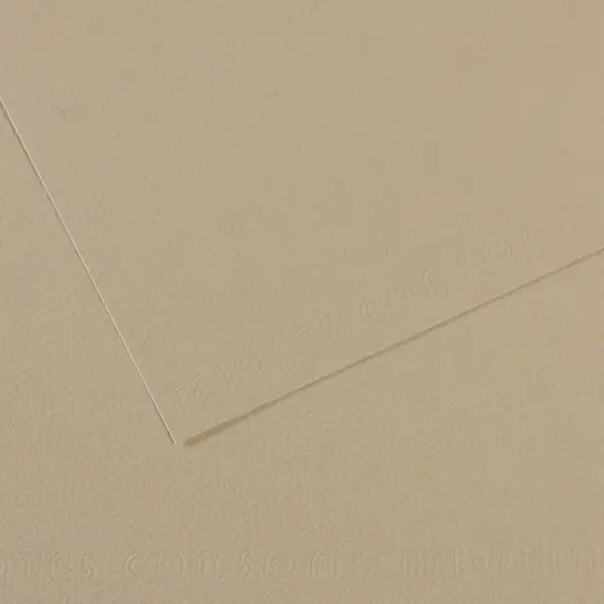 Canson Mi-Teintes Drawing Papers - 8-1/2" x 11", Pearl, 25 Sheets {1}