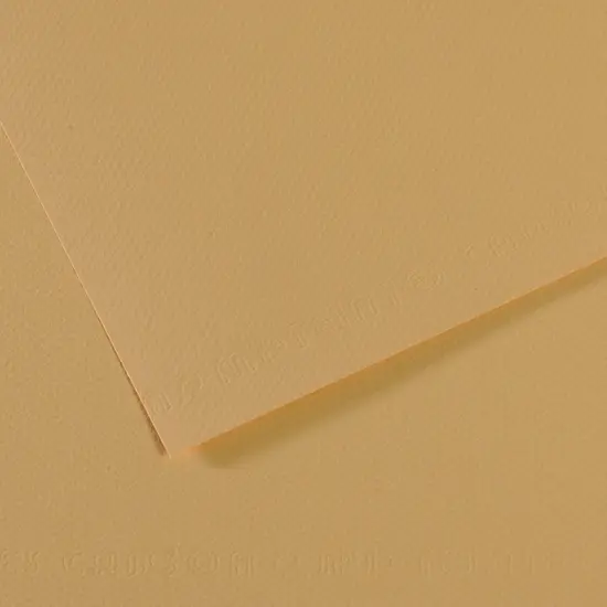 Canson Mi-Teintes Drawing Papers - 8-1/2" x 11", Oyster, 25 Sheets {1}
