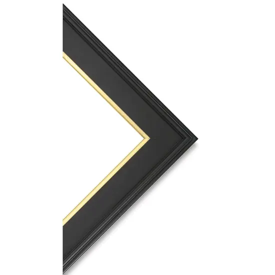Blick Simplon Frame with Liner - 9" x 12" x 5/16", Black/Gold {1}