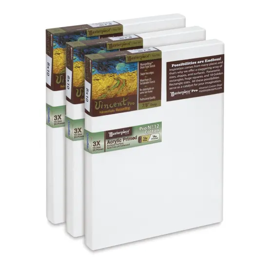 Masterpiece Vincent Pro Sausalito Cotton Canvas - Value Pack of 3, 8" x 10" Acrylic Primed {1}