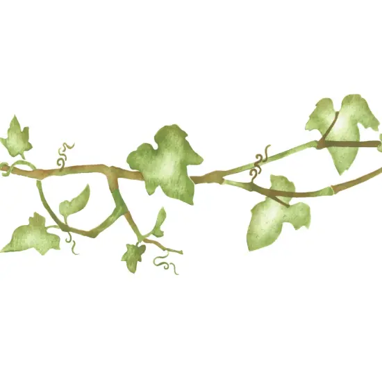 Leafy Ivy Vine Wall Stencil | 2825 by Designer Stencils | Floral Stencils | Reusable Art Craft Stencils for Painting on Walls, Canvas, Wood | Reusable Plastic Paint Stencil for Home Makeover | Easy to Use & Clean Art Stencil {2}