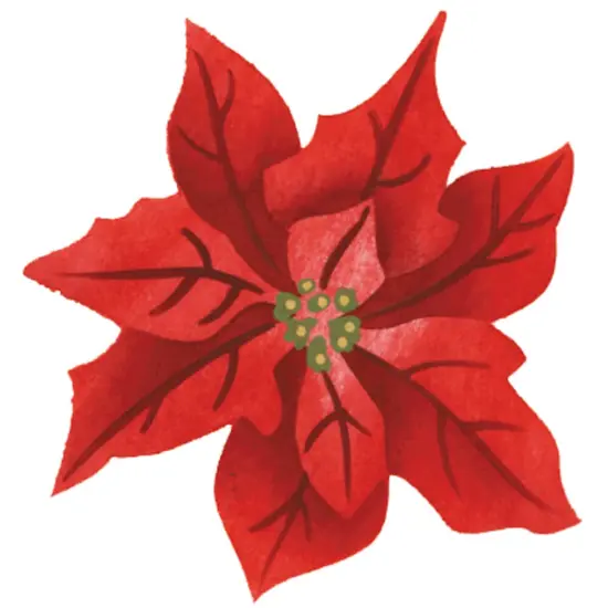 Large Poinsettia Flower Wall Stencil | 2986B by Designer Stencils | Floral Stencils | Reusable Art Craft Stencils for Painting on Walls, Canvas, Wood | Reusable Plastic Paint Stencil for Home Makeover | Easy to Use & Clean Art Stencil {1}