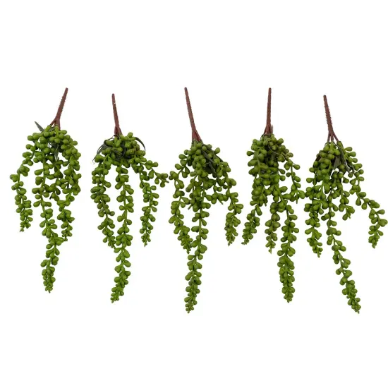 Faux Succulents - String of Pearls [5 Pack] {1}