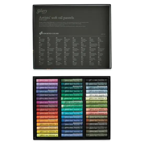 Mungyo Gallery Artists' Soft Oil Pastels - Set of 48 {1}