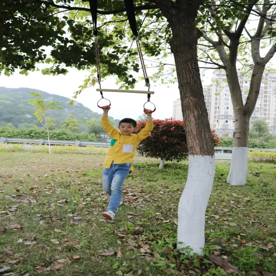 Wooden Swings with 4 Included Ropes, Tree Swing, Swing Bar, Climbing Rope Ladder and Swing Seat {4}