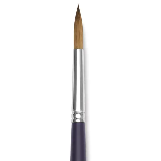 Winsor & Newton Artists' Kolinsky Sable Watercolor Brush - Round, Short Handle, Size 8 {1}