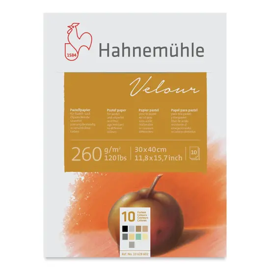Hahnemuhle Velour Papers - 11-4/5" x 15-7/10", Assorted Colors, 10 Sheets {1}