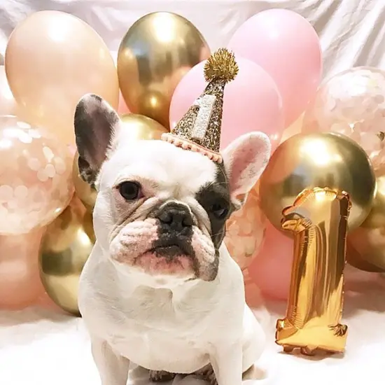 Balloon Garland - Pink & Gold {3}