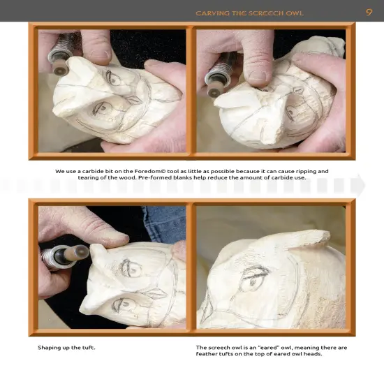 Carving the Screech Owl {2}