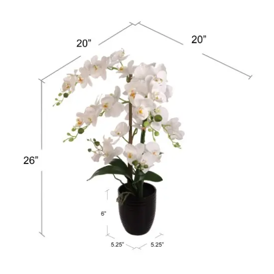 22-Inch Phalaenopsis Orchid Arrangement in Black Ribbed Ceramic Vase - Lifelike Silk Flowers & Latex Foliage for Elegant Home & Office D&eacute;cor - Timeless Floral Arrangement, Floral Home by Artificial Flowers {2}