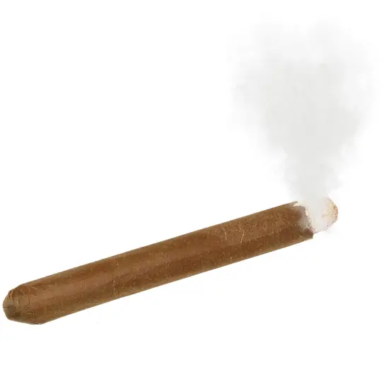 Fake Puff Costume Cigar {4}