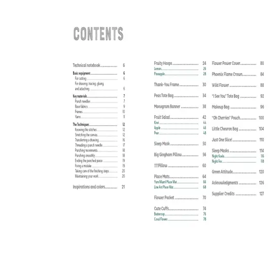 Punch Needle Extravaganza!: 27 Projects to Create {2}