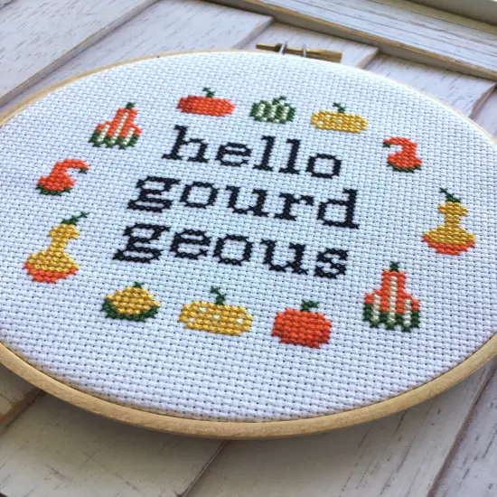 Hello Gourdgeous Counted Cross Stitch DIY KIT Intermediate {2}