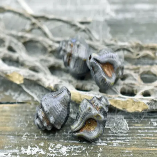 *8* 14x11mm Bronze Washed Blue Lazure Conch Shell Beads {1}