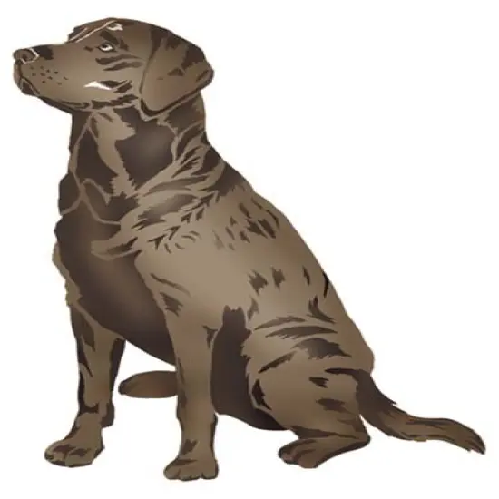 Labrador Retriever Dog Wall Stencil | 2697 by Designer Stencils | {1}