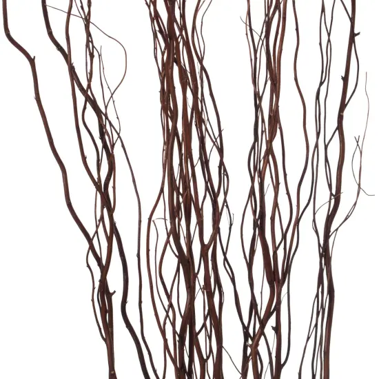 Brown Natural Decorative Dry Branches Authentic Willow Birch Sticks for Home Decoration and Wedding Craft {5}