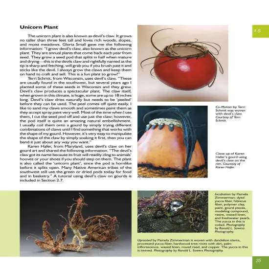 New and Different Materials for Weaving and Coiling {2}