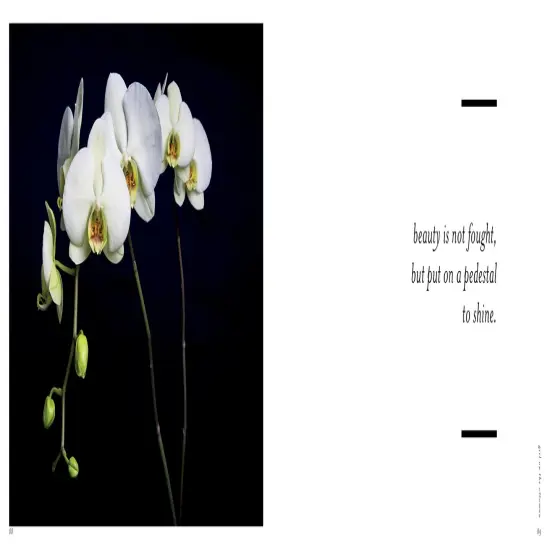 Perishable Poetics {4}