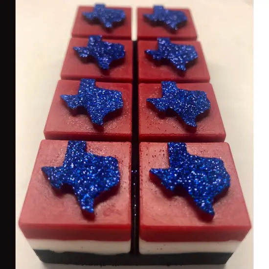 Texas Wax Melt Snap Bar Silicone Mold {3}