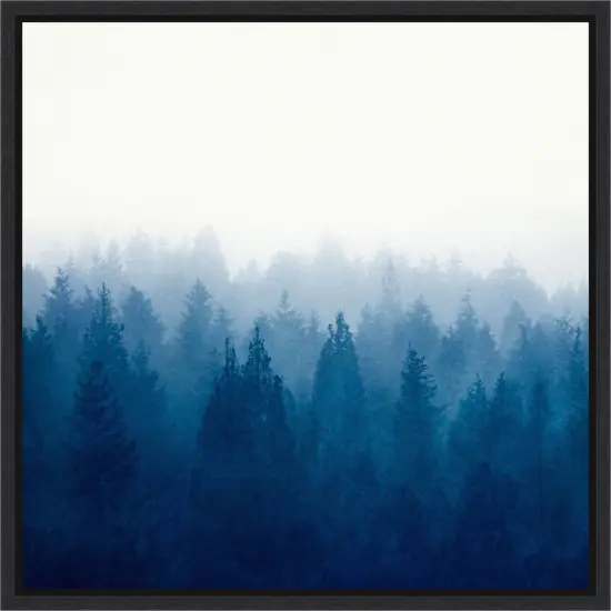Heart and Soul - Foggy Forest by Dirk Wustenhagen Framed Canvas Wall Art {6}