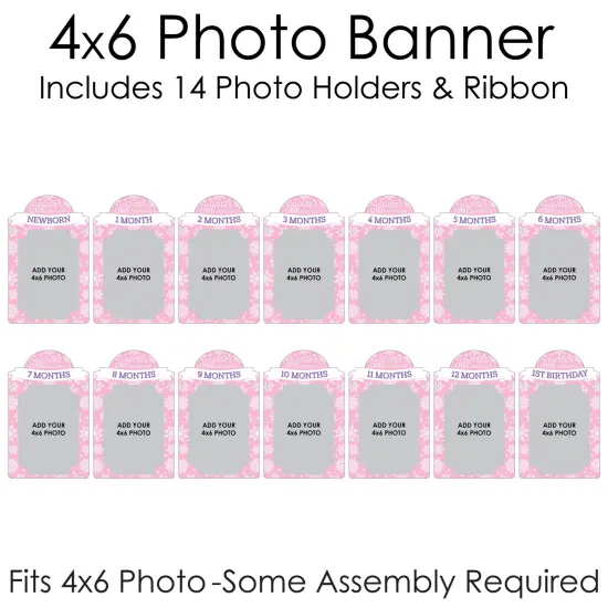 Big Dot of Happiness Pink Snowflakes 1st Birthday - DIY Girl Winter ONEderland Party Decor - 1-12 Monthly Picture Display - Photo Banner {6}