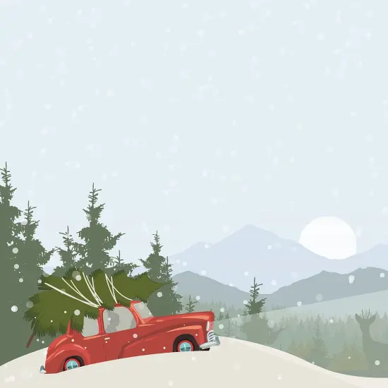 Great Papers! Christmas Memory Holiday Letterhead, Invitations and Announcements, Printer Friendly 8.5" x 11", 80 Pack {2}