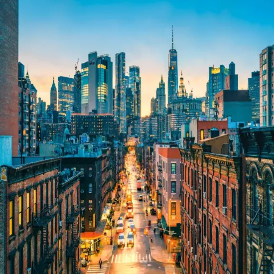 1000 Piece Jigsaw Puzzle, Lower Manhattan, New York City, NYC, City view puzzle, USA puzzles, Adult Puzzle, Castorland C-105083-2 {2}