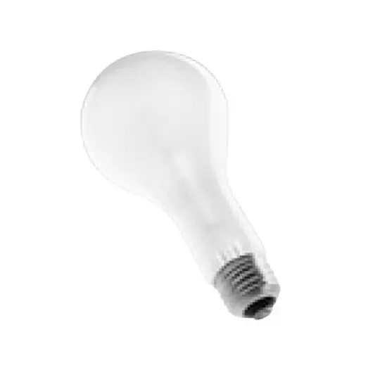 Ushio 1000266 - ECT PS-25 3200K Photography Photoflood Light Bulb {1}