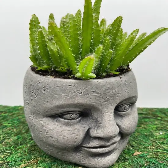 Whimsical "Face" Planter {3}