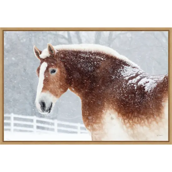 Snowy Draft Horse by Sue Schlabach Canvas Art Framed {1}