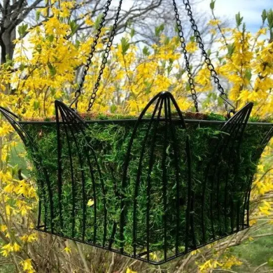 14" Metal and Coco Moss Hanging Basket - SQUARE {5}