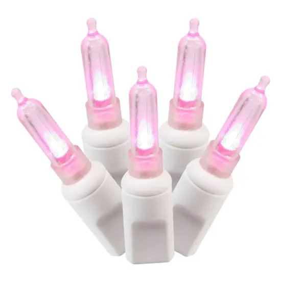 50Lt Pink LED / White Wire Italian EC 25'L {1}