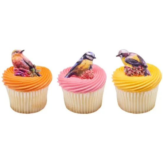 Springtime Birds Cupcake Rings, 12ct {1}