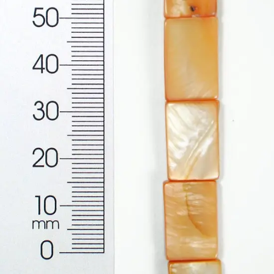 6 Packs of Tinted Rectangular Shells 8 in Strand Pack of 2 {1}