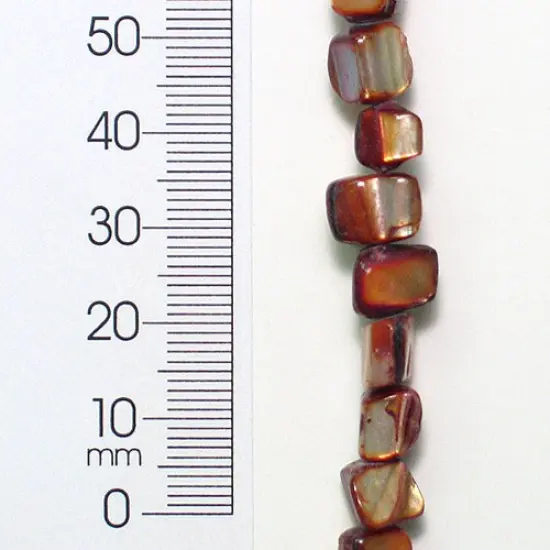 6 Packs of Tinted Shell Nugget Beige 2x8" Strand {1}