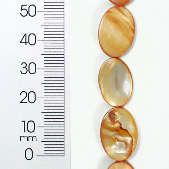 6 Packs of Tinted Shell 10x17mm Oval Beige 2x8" {1}