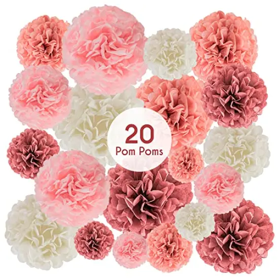 20 Piece Tissue Paper Pom Poms | Blush Pink, Dusty Rose, Mauve & Cream | Colorful Paper Flower Wall Decorations for Bridal Showers, Baby Showers, Weddings, Graduations, Tea Parties & More {2}