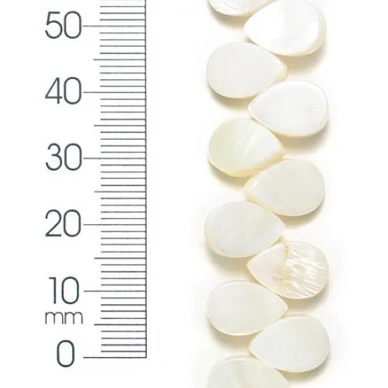 6 Packs of Tinted Shell Trdrp Natural 2x8" Strand {1}