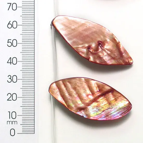 6 Packs of Tinted Shell Leaf Beige 2x8" Strand {1}