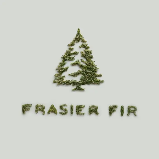 Frasier Fir Pine Needle Votive Candle - Scented Candle with Notes of Siberian Fir, Cedarwood, and Sandalwood - Holiday Candle with a Luxury Home Fragrance (2 oz) {3}