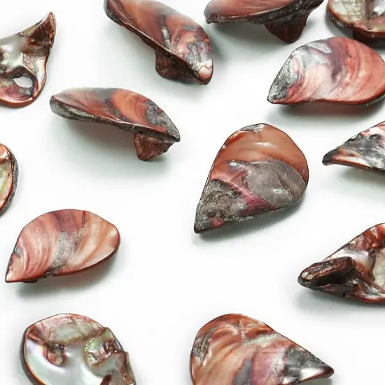 6 Packs of Tinted Shell Fan Mauve 2/8" Strand {1}