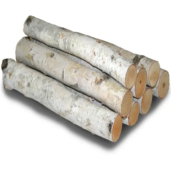 Wilson Decorative White Birch Log Bundle, Natural Bark Wood Home D&eacute;cor 1.5-3" Dia. X 17.5" or 24" Length {7}
