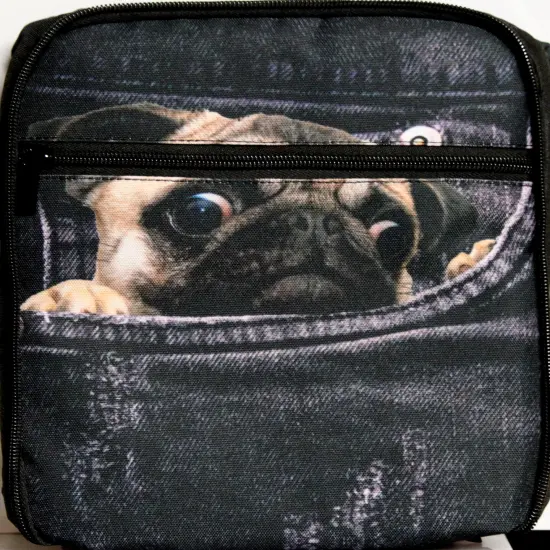 Pug Zippered Lunch Bag {3}