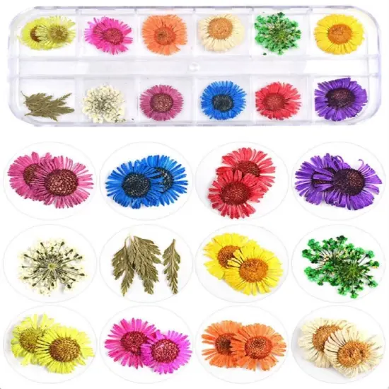 Kitcheniva 3D Real Dried Flowers Nail Art Decors DIY Tips {1}