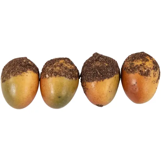 Northlight Fall Harvest Artificial Pumpkin, Gourd, Acorn and Leaf Decoration Set - 11-Piece Orange {6}