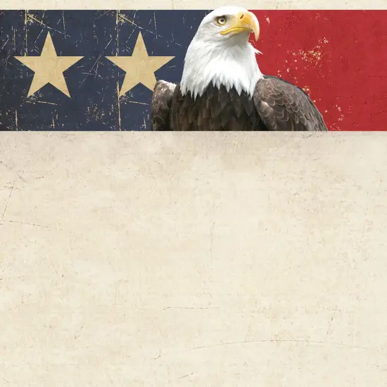 Great Papers! American Eagle Stationery Letterhead, Invitations and Announcements, Printer Friendly, 8.5"x11", 80 Pack {2}