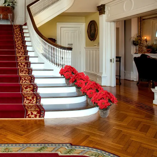 Red Velvet Poinsettia Bush with 7 Lifelike Silk Blooms | 20-Inch | Indoor/Outdoor Use | Festive Holiday Decor | Christmas Bushes | Home & Office Decor (Set of 2) - 2024 Christmas Collection, Floral Home by Artificial Flowers {5}